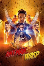 Ant-Man 2 and The Wasp (2018) แอนท์ แมน และ เดอะ วอสพ์