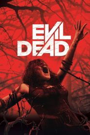 Evil Dead (2013) ผีอมตะ