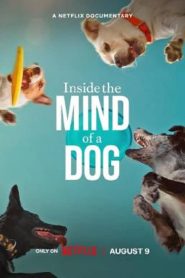 Inside the Mind of a Dog (2024) อ่านใจสุนัข