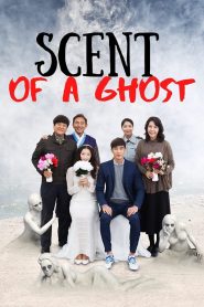 Scent Of Ghost (2019) ห้องนี้มีผีหรอ