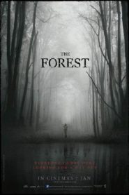 The Forest (2016) ป่าสูบวิญญาณ