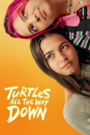 Turtles All the Way Down (2024) กลเกลียวสุดห้วงกาล